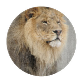 Lejona Kung i Jungle