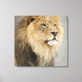 Lejona Kung i Jungle Canvastryck