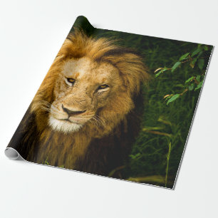 LEJONA KUNG I JUNGLE PRESENTPAPPER