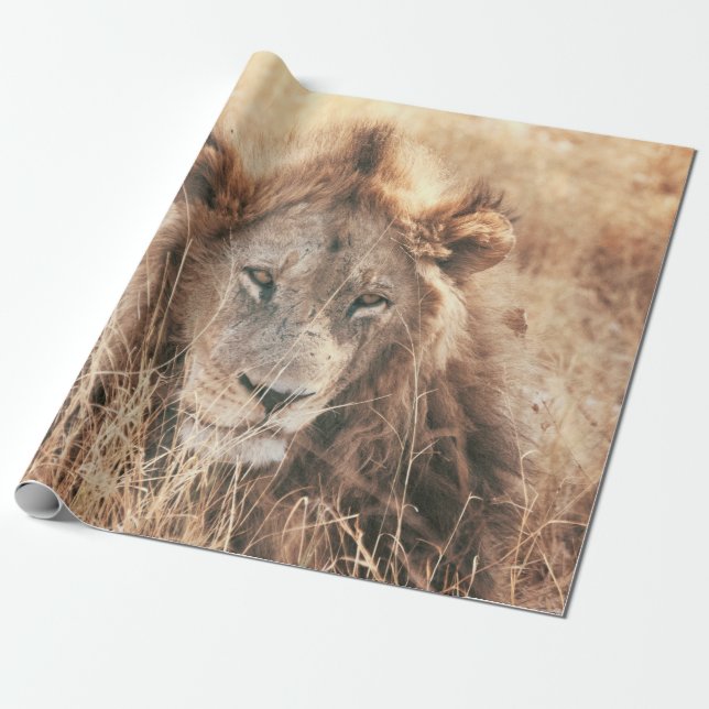 Lejona KUNG Presentpapper (Utrullad)