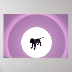Lejona lilor poster