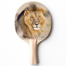 Lejona majoritetsdjur i vilden porträtt