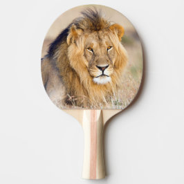 Lejona majoritetsdjur i vilden porträtt pingisracket