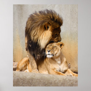 Lejona män och kvinnor i Kärlek Poster