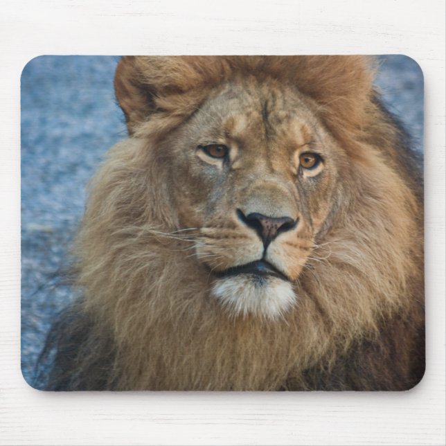 Lejona Mousepad Musmatta (Framsidan)