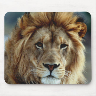Lejona Mousepad Musmatta