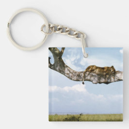 Lejona Office Home Personalize Destiny Destiny's