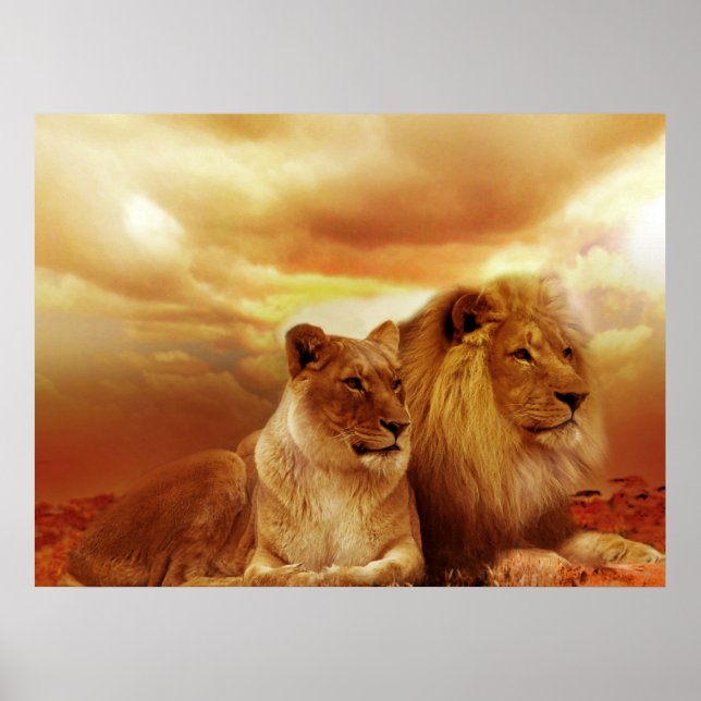 Lejona par Poster (Framsidan)