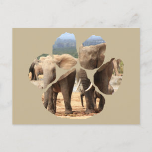 Lejona Pawprint Elephant Syskon Vykort