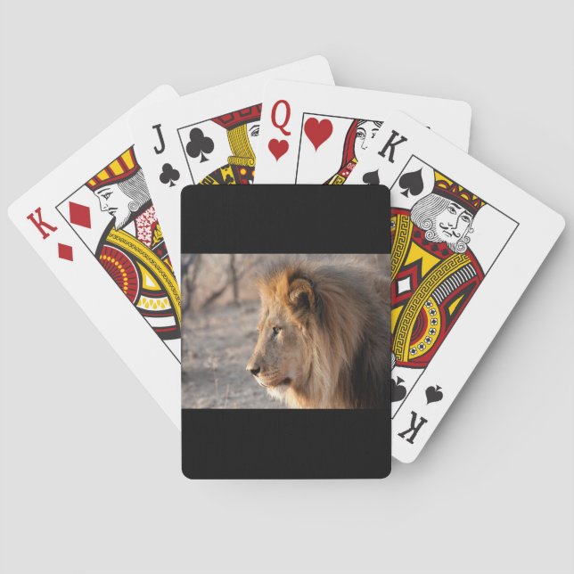 Lejona Porträtt Casinokort (Baksidan)