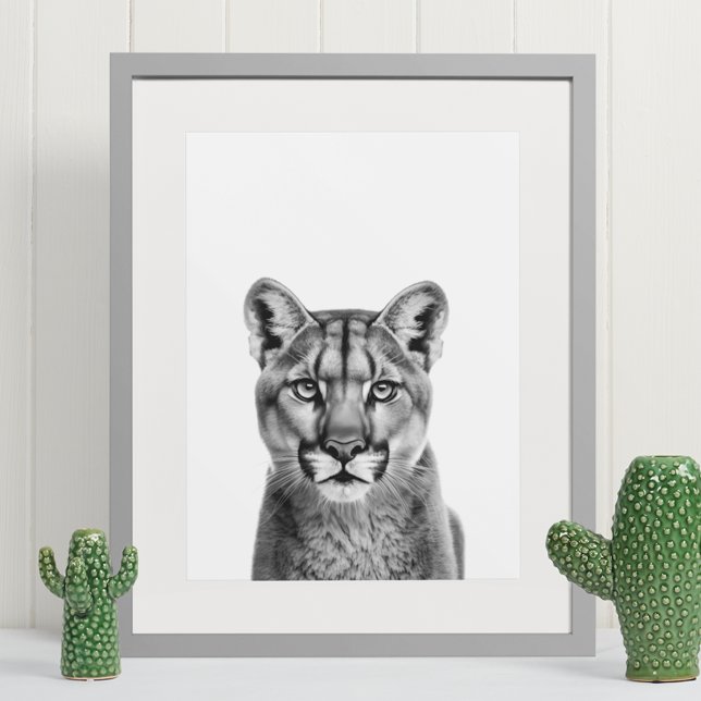 Lejona Puma Big Cat Black White Poster (Skapare uppladdad)
