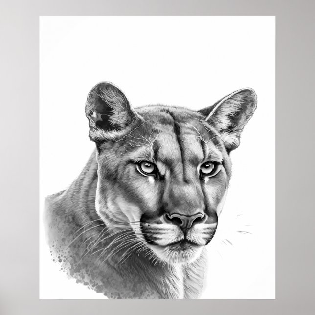 Lejona Puma Big Cat Black White Poster (Framsidan)