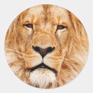 Lejona Runt Klistermärke