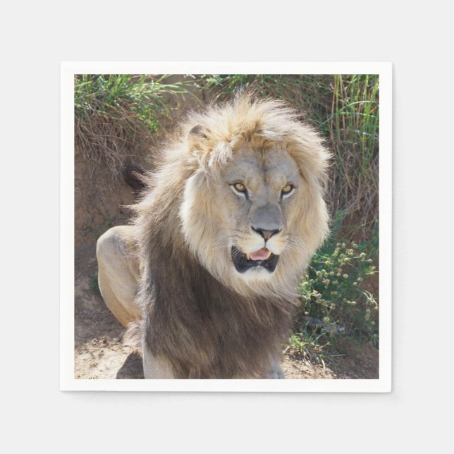 Lejona sitta vid sten pappersservett (Framsidan)