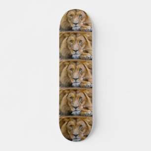 LEJONA Skateboard
