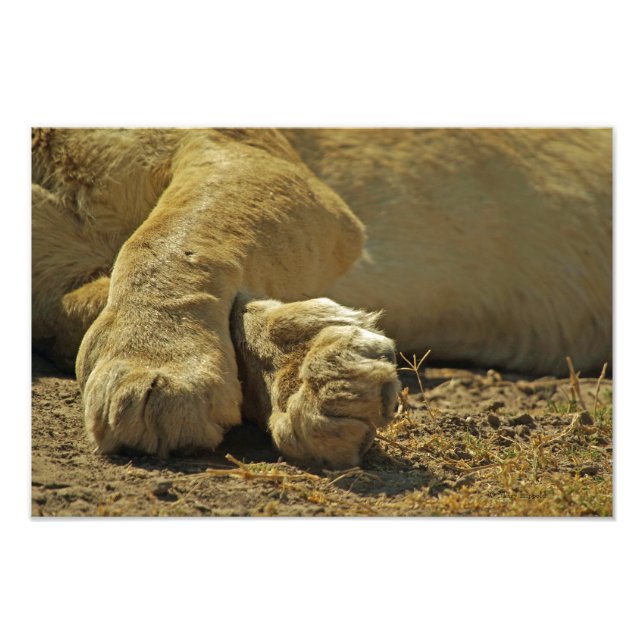 Lejona Tass Fototryck (Framsidan)