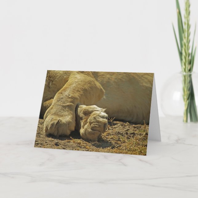 Lejona Tass Kort (Framsida)