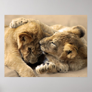 Lejona unge bästa vänner poster