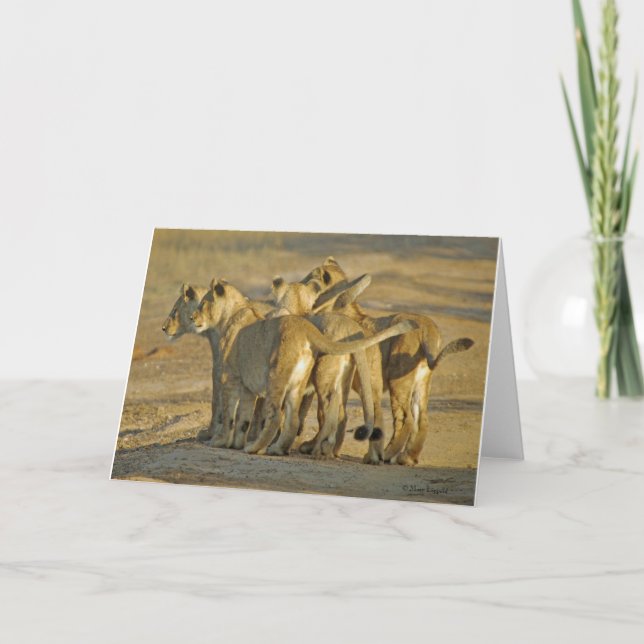 Lejona Unge Kort (Framsida)