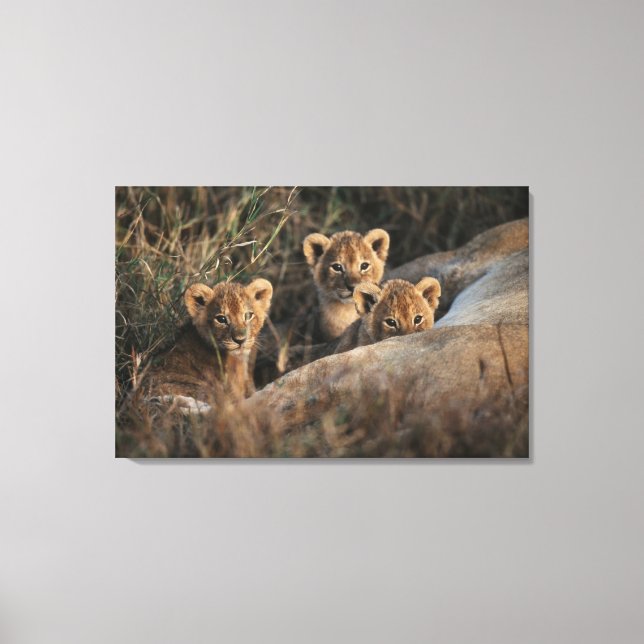 Lejona Unge-trion med Mor Canvastryck (Framsida)