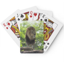 Lejona - Uppspelningskort för cyklar