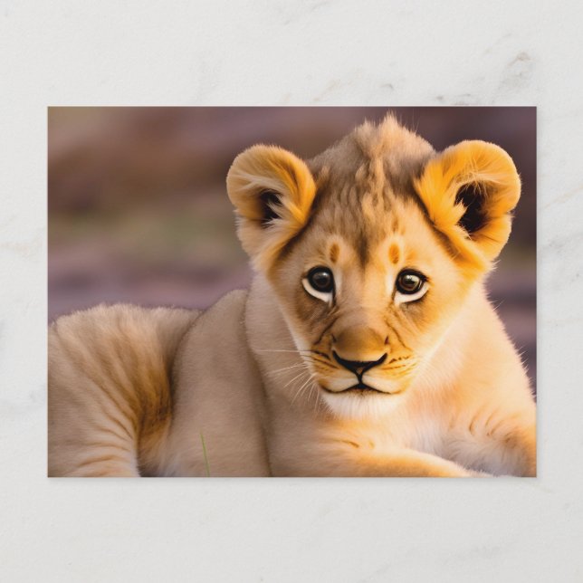 lejona värphöns i baby vykort (Framsida)