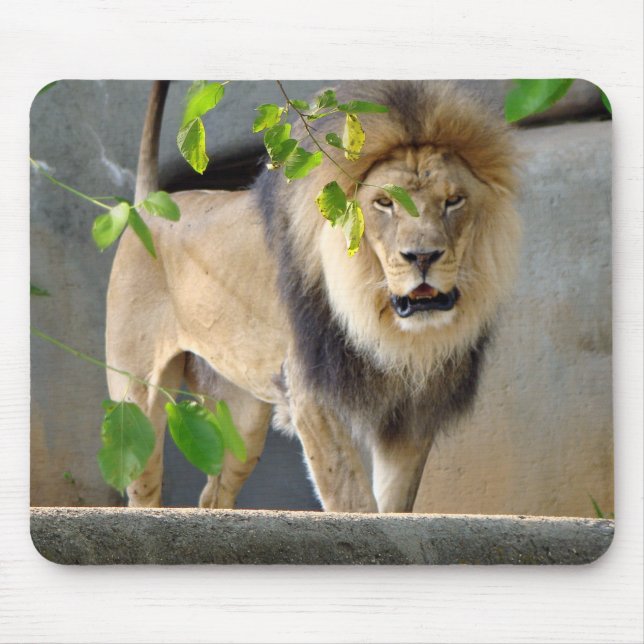 Lejona Wildlife Mousepad Musmatta (Framsidan)
