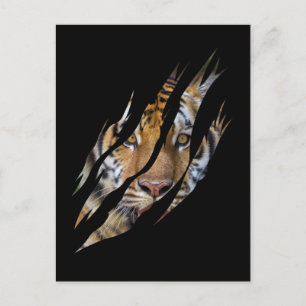 Lejonansikte Tiger Safari Klo Rivet Vykort