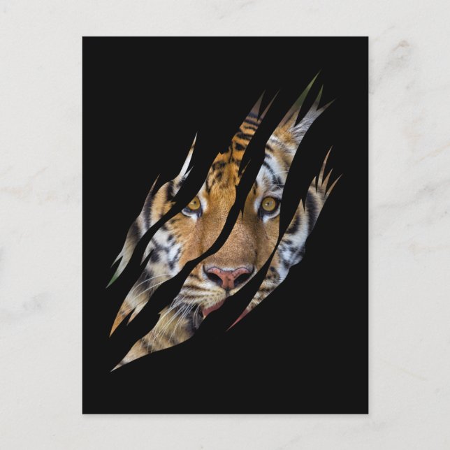 Lejonansikte Tiger Safari Klo Rivet Vykort (Framsida)
