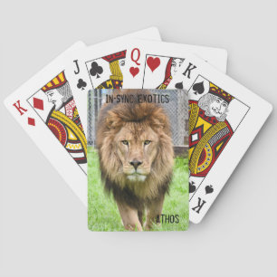 Lejonare Athos - Casinokort