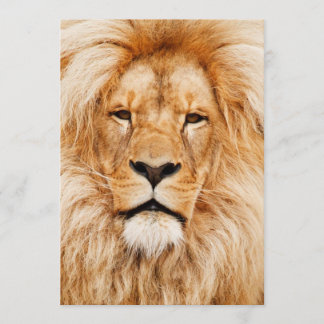 Lejonare Födelsedagsfest Inbjudningar