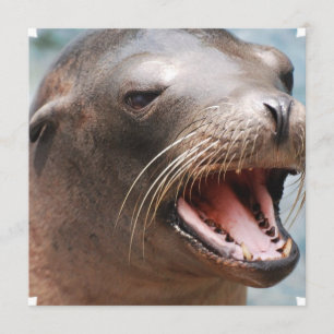 Lejonare inbjudningar till Kalifornien