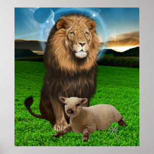 lejonare och lamm poster