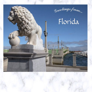Lejonbron St Augustine Florida Vykort