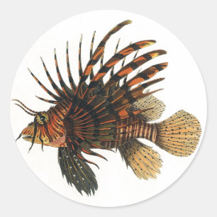 Lejonfisk Fisk, Vintage Marin Oceanliv Djur Runt Klistermärke
