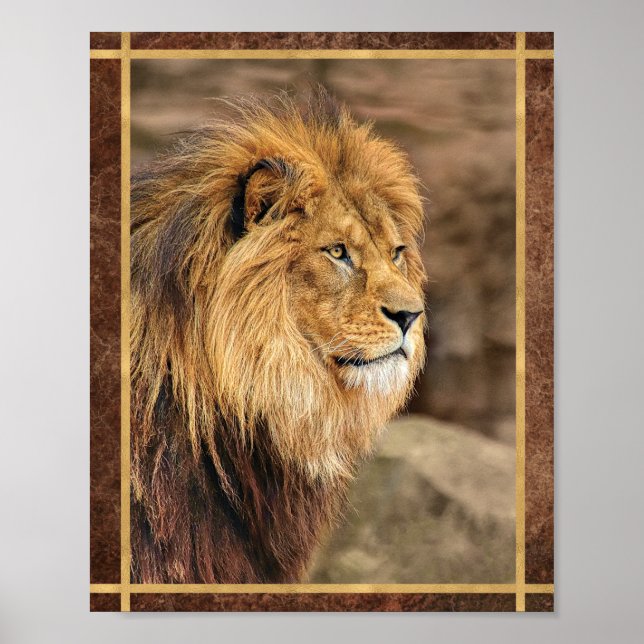 Lejonfotografi i profil poster (Framsidan)