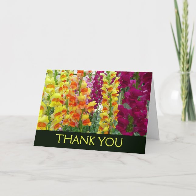 Lejongaps Färgrik Blomma Tack Kort (Framsida)
