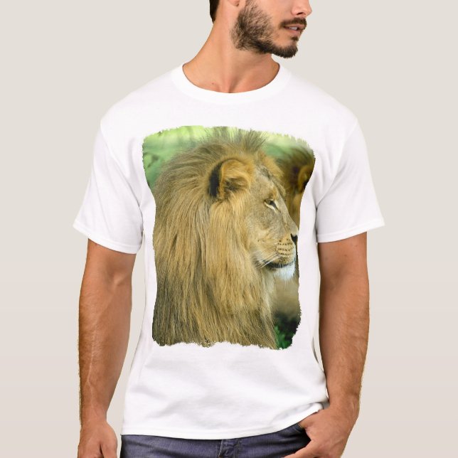 Lejonhuvud Tee (Framsida)