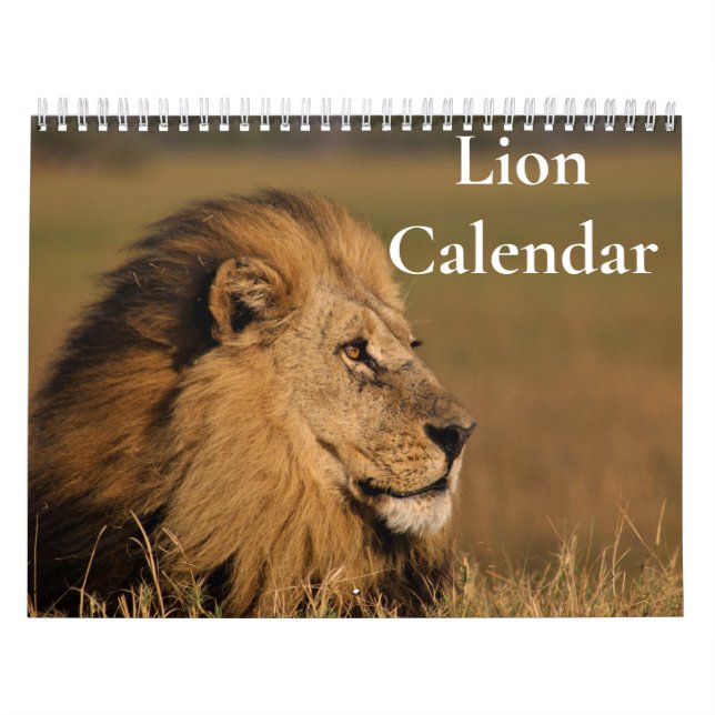 Lejonkalender 2027 kalender (Omslag)