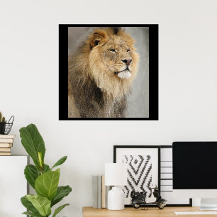 Lejonkungen av djungeln poster