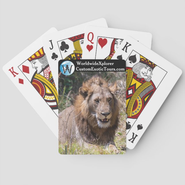 Lejonspelkort Casinokort (Baksidan)