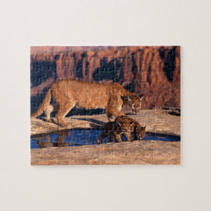 Lejont game Puzzle för berg Pussel
