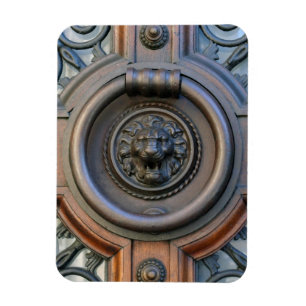 Lejont knackhuvud - Barcelona - Magnet