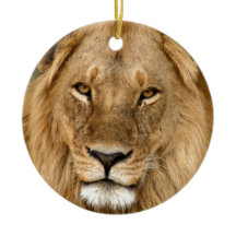 Lejont med den underbara manen