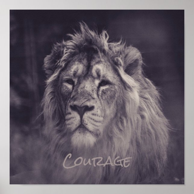 Lejont mod Kung i Jungle Poster (Framsidan)