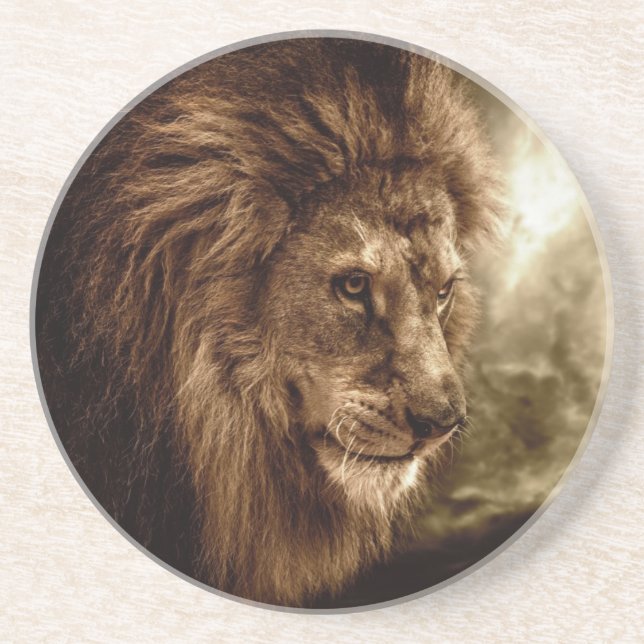 Lejont mot stormig himmel underlägg (Framsidan)