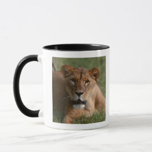Lejont Mugg