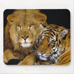 lejont och en tiger musmatta