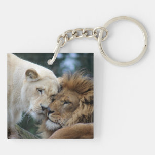 Lejont och Lioness