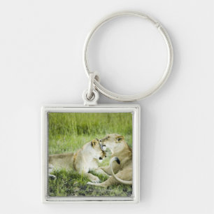 Lejont och lioness, afrika 2 fyrkantig silverfärgad nyckelring